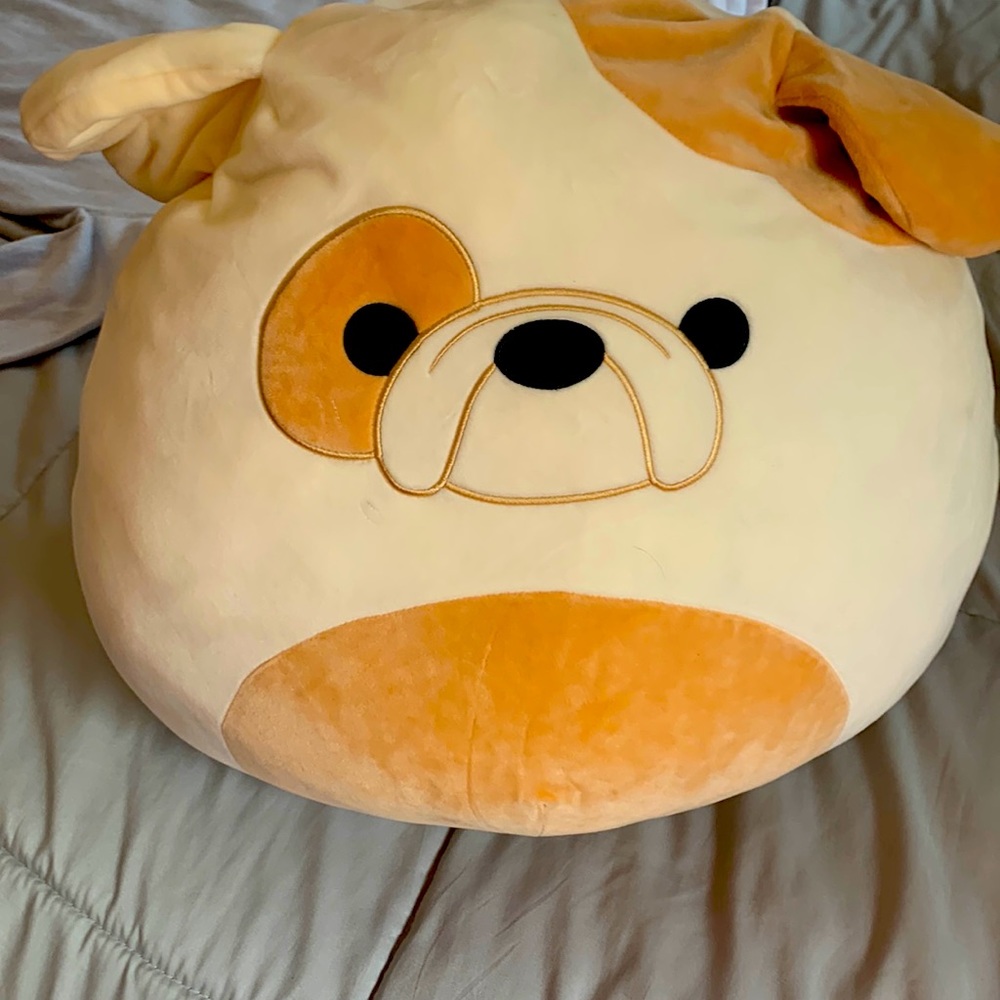 Dog squishmallow Big